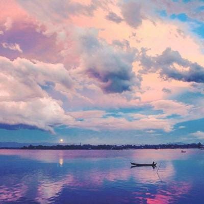 Lê Đình Phong avatar